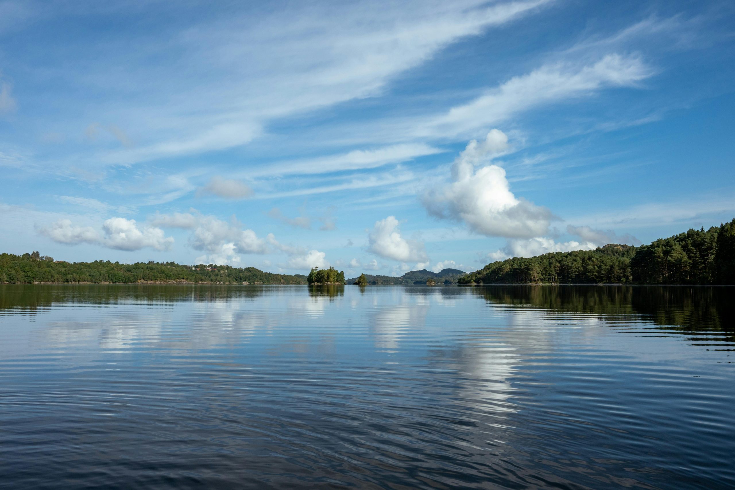 pexels photo 33388483