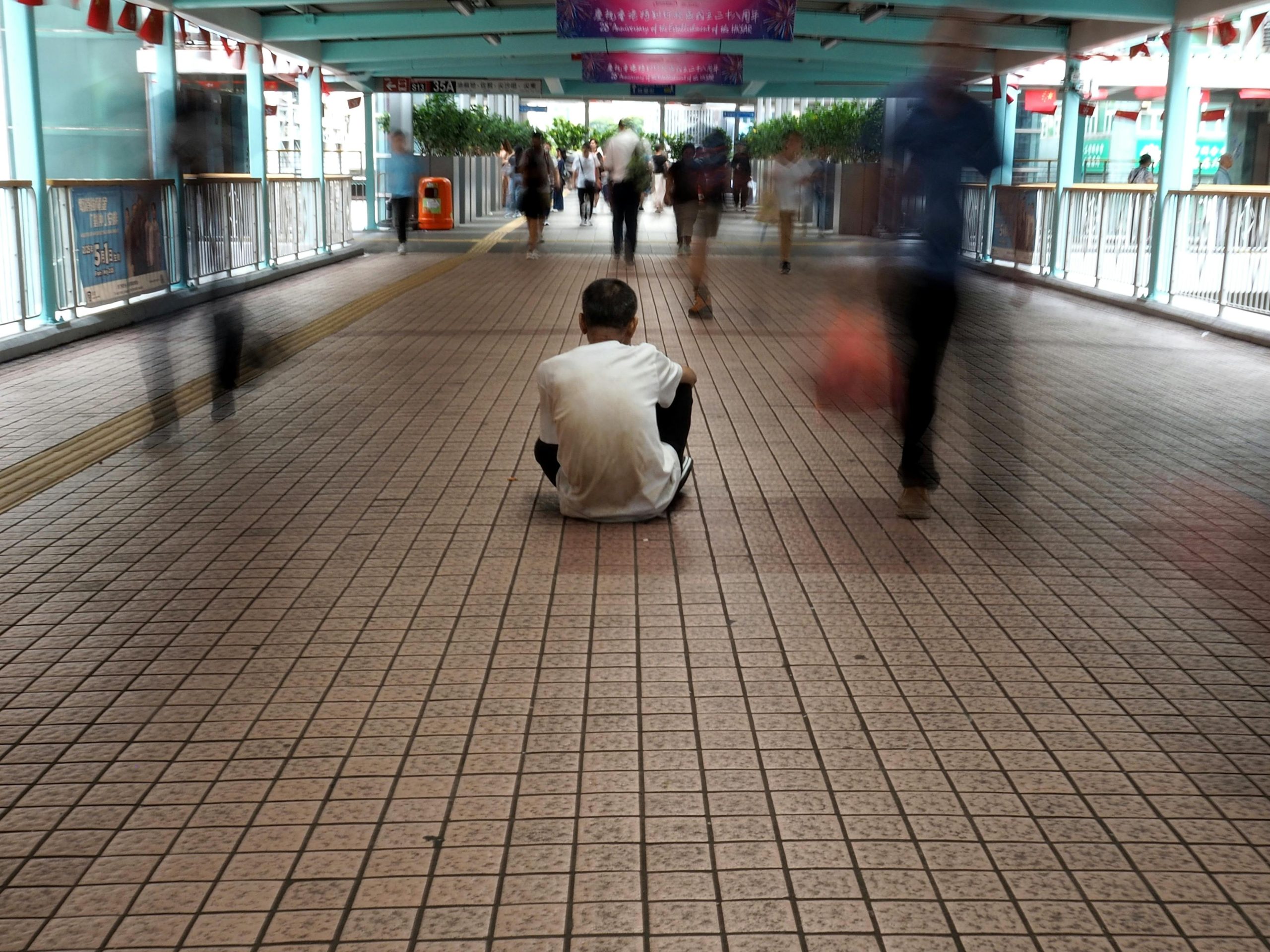 pexels photo 33414736