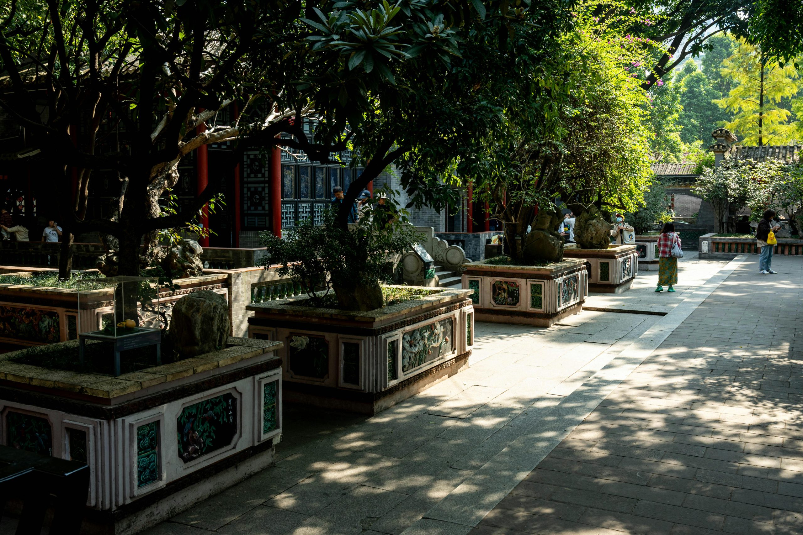 pexels photo 35216090