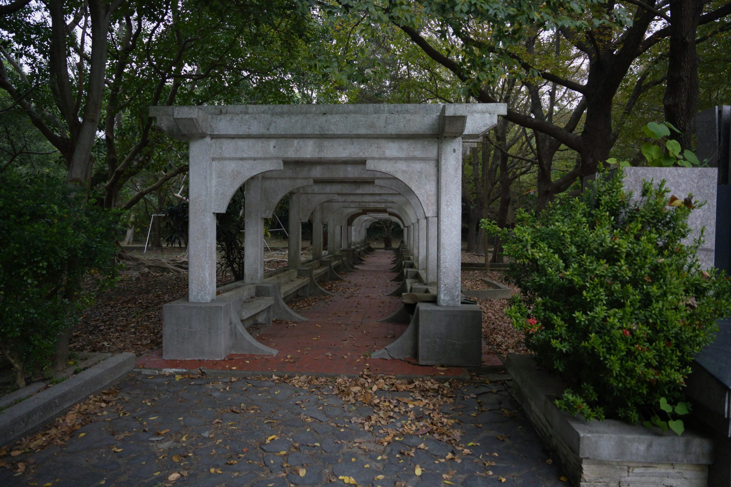 pexels photo 35368720