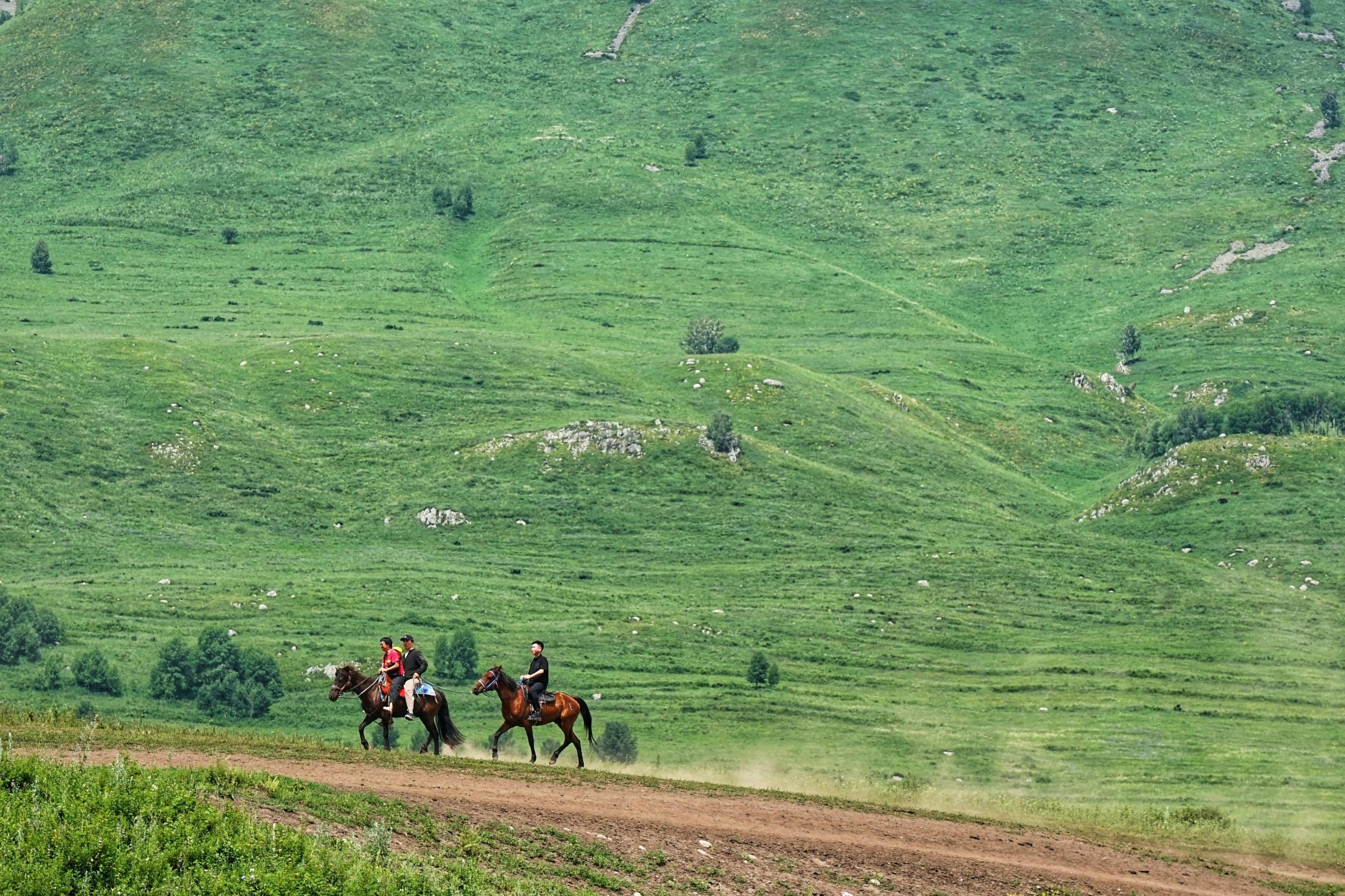 pexels photo 36045355