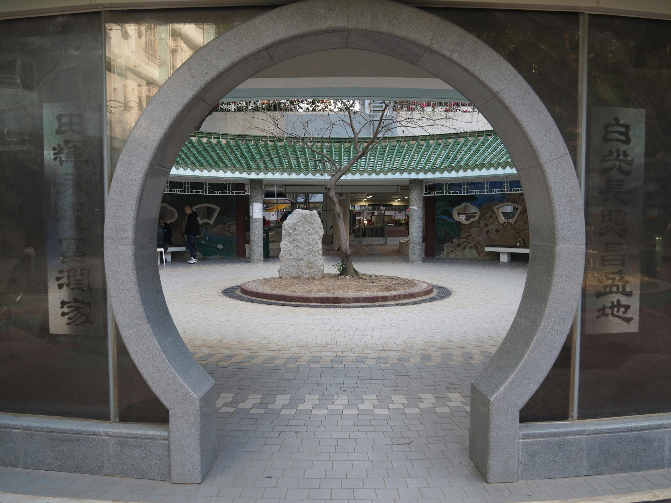 pexels photo 36093994