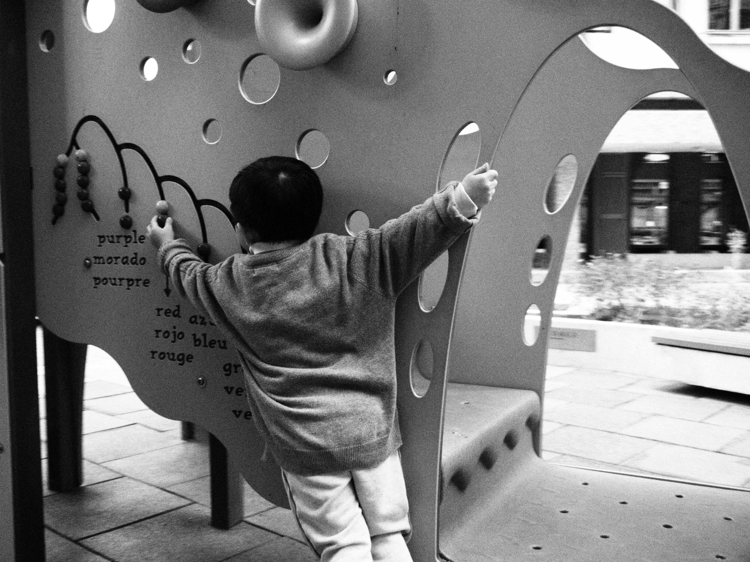 pexels photo 36094016