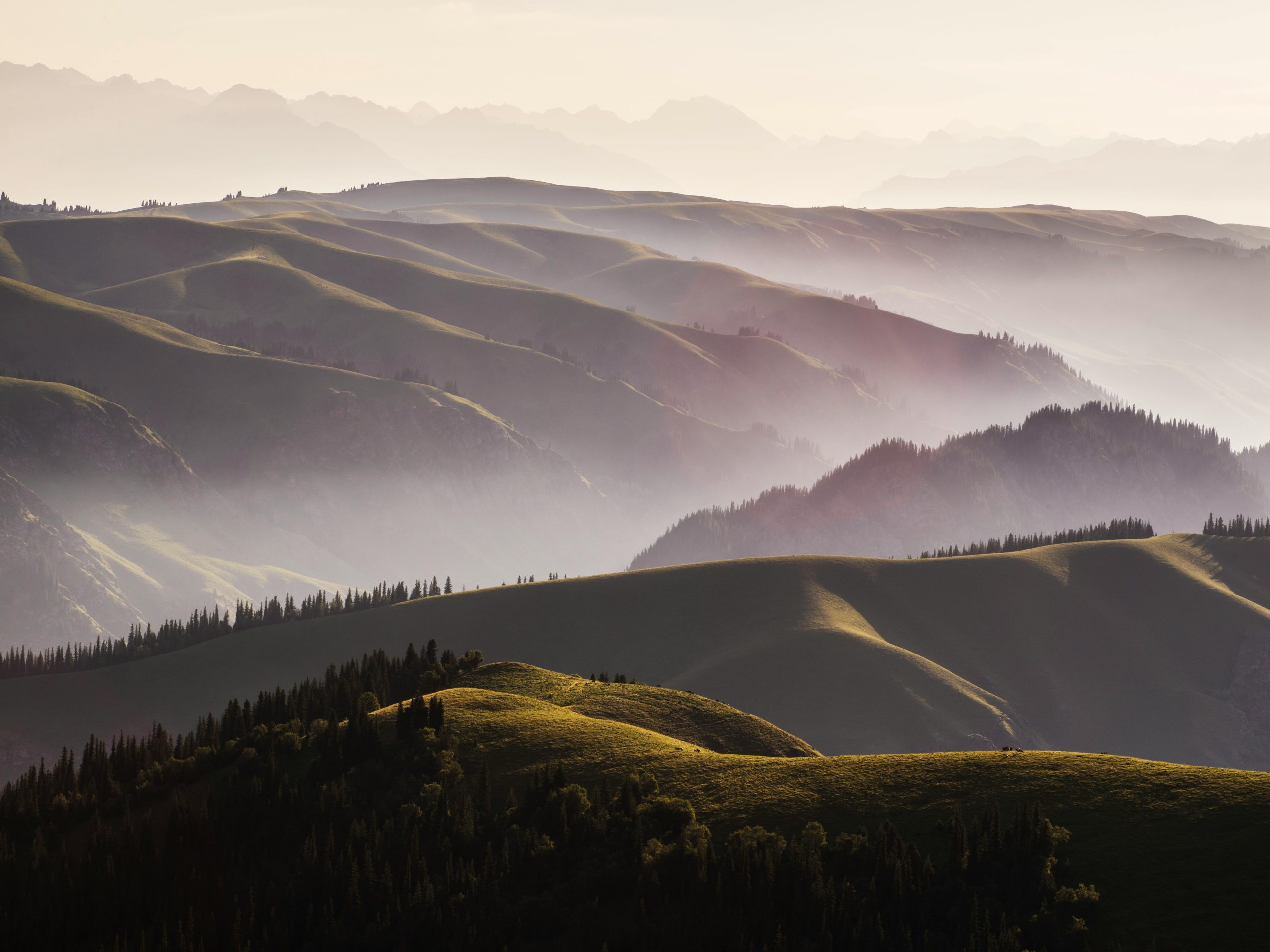 pexels photo 4402750