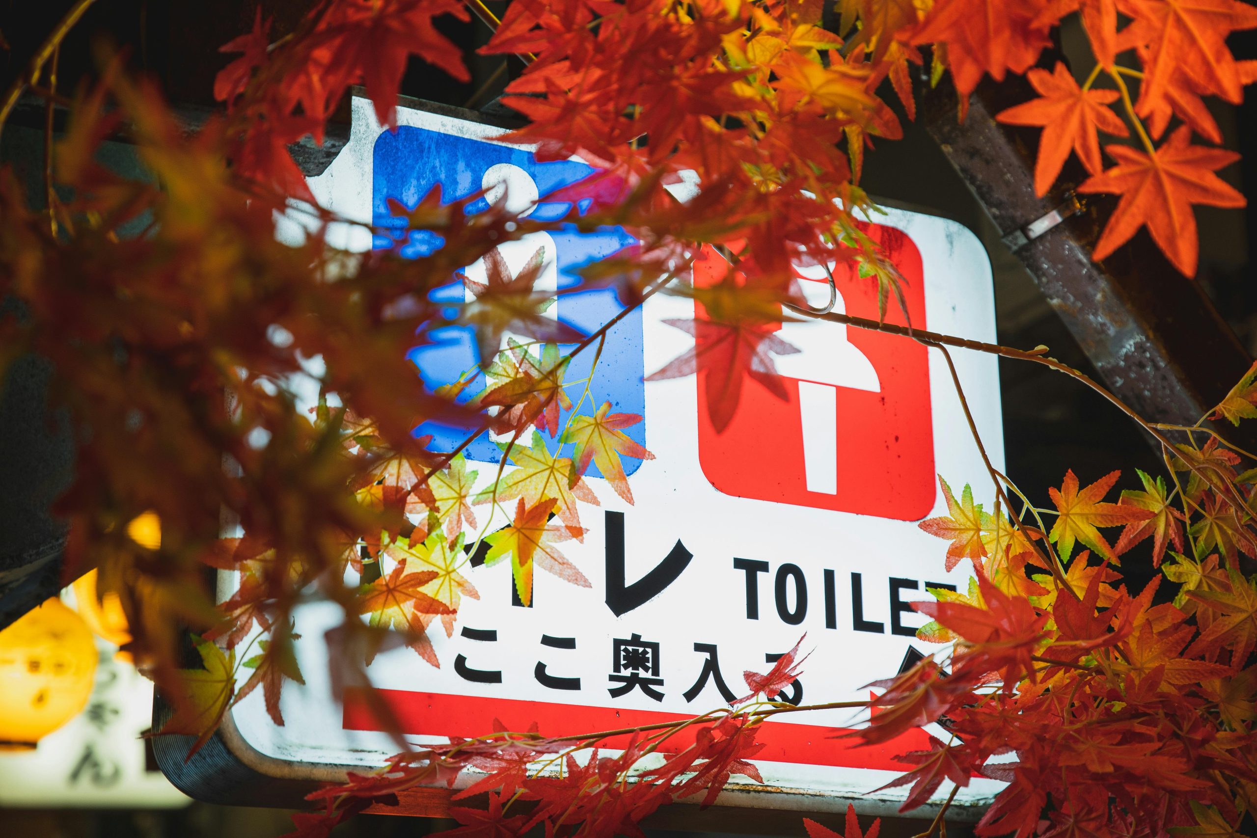 pexels photo 5745040